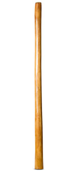 Gloss Finish Didgeridoo (TW1163)